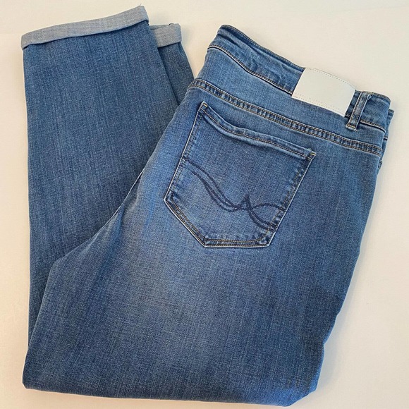 Rebel Wilson Jeans Rebel Wilson Angels Womens The Ryot Tomboy Slim